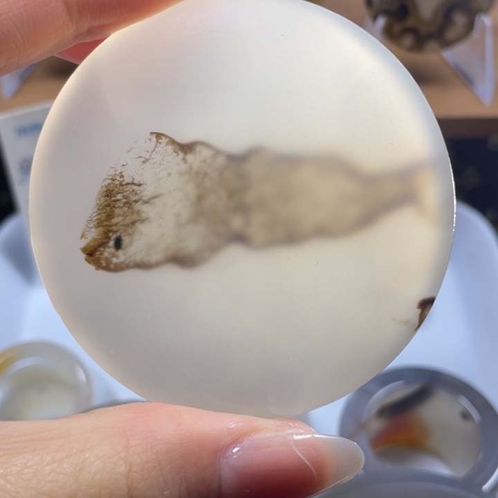 玛瑙/玉髓未镶嵌牌子