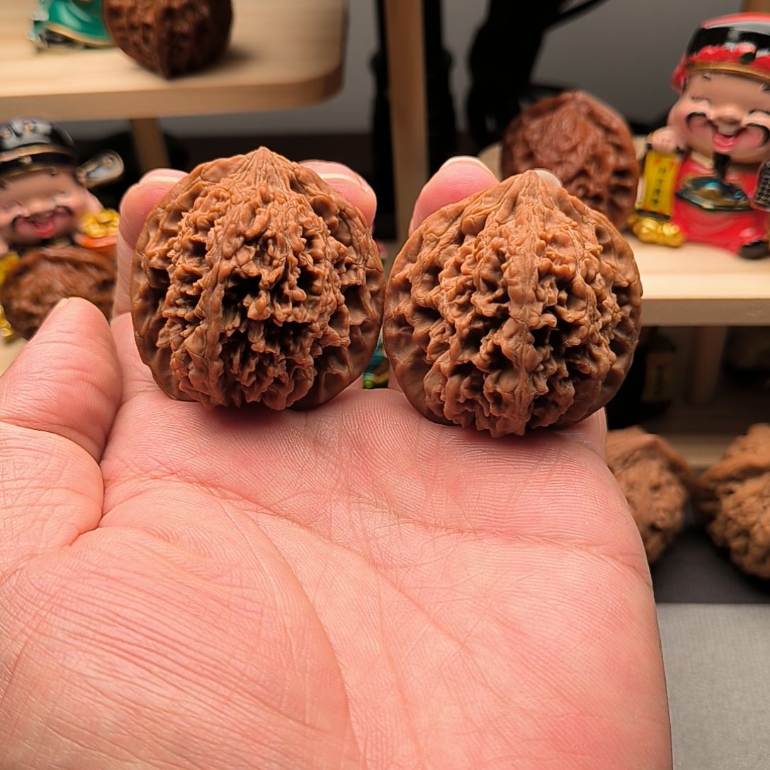 全品原装满天星43尺