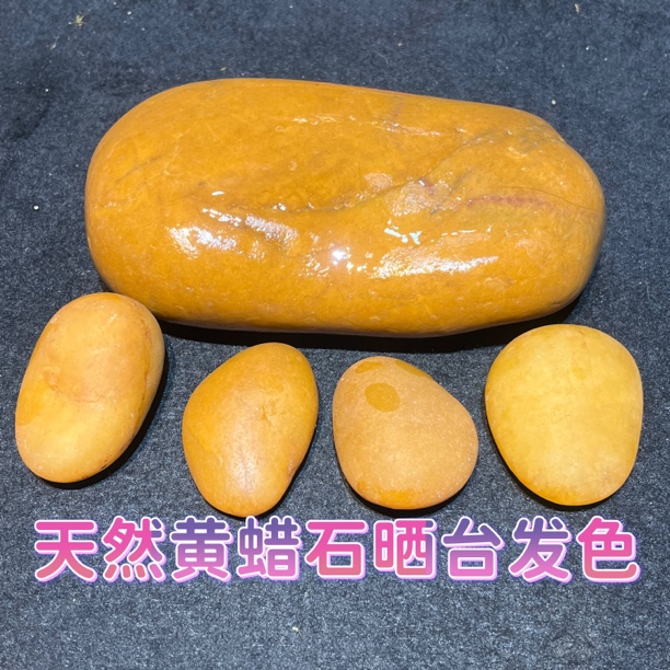 【今日福利】天然黄蜡石乌龟晒台发色鱼缸造景不染色 一物一拍 