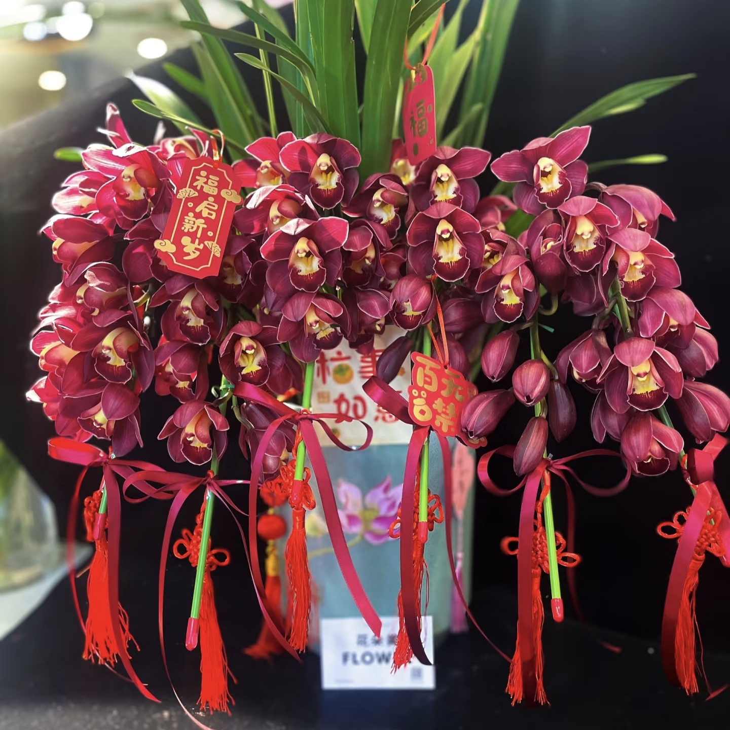 【特级 大红袍】大花蕙兰年宵花阳台客厅好养