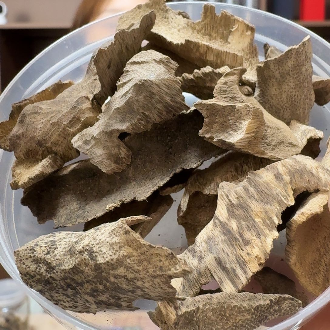 沉香沉香碎屑芽庄壳子块料10克