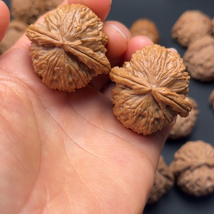 文玩核桃把件白狮子三角37