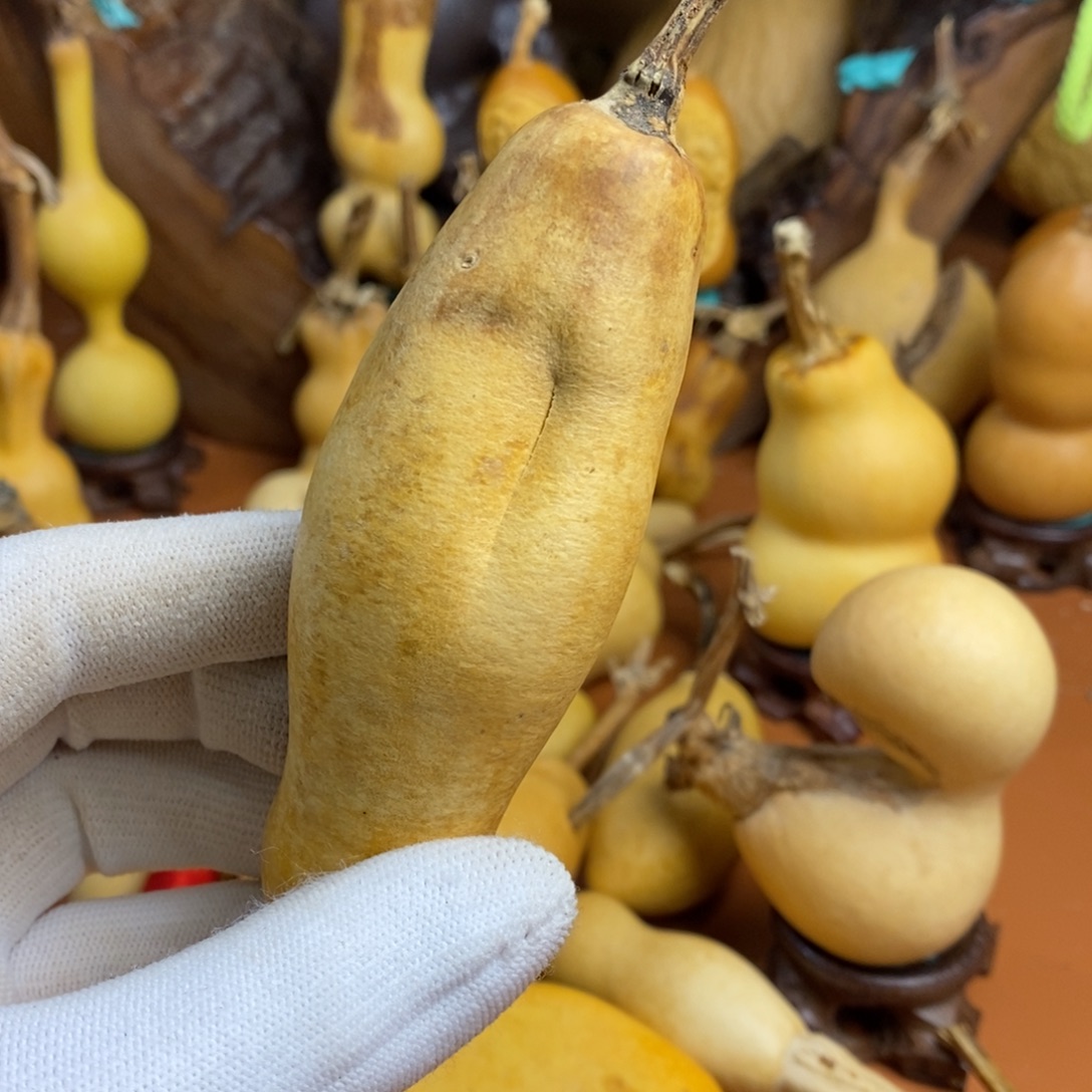 ****哦那教练咯教练咯教练咯