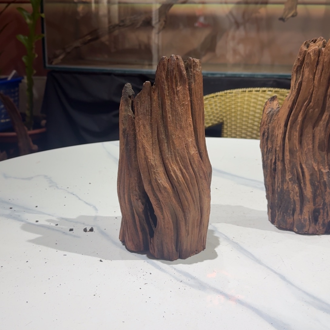 普***友香榧木一物一拍鱼缸造景