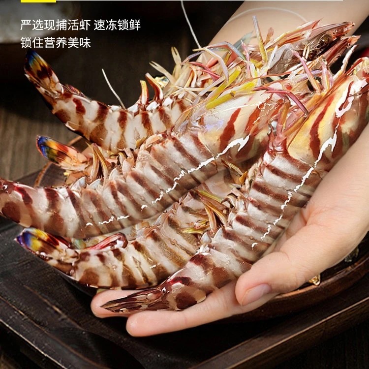 汕尾本港野生花虾斑节虾竹节虾