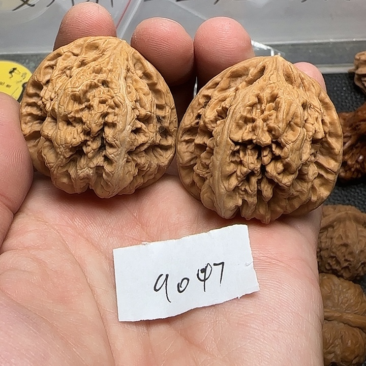 东***%把件文玩核桃9047大粗筋43尺
