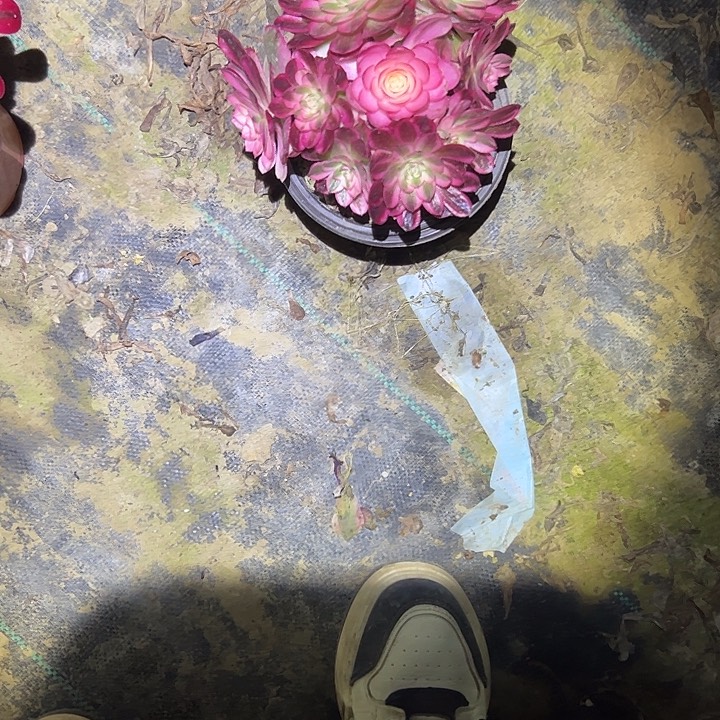 法师一物一拍链接25