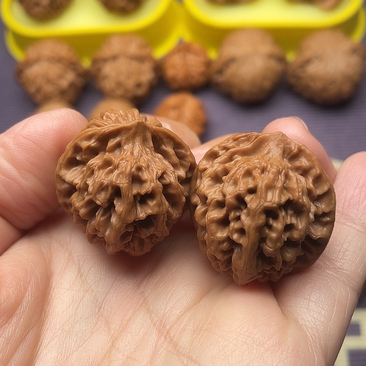 核桃秦闷全品30尺