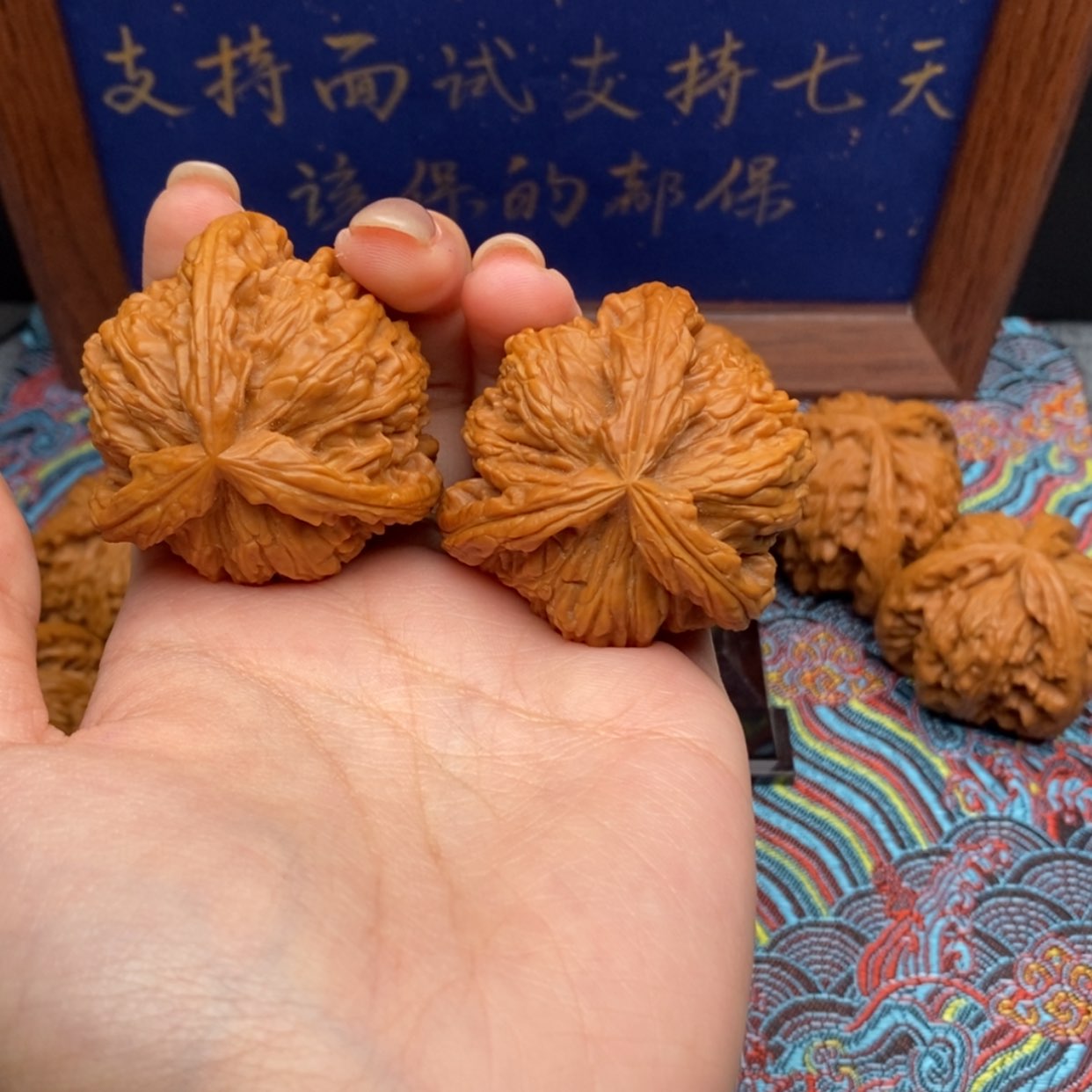 【闪购商品】星*✩白狮