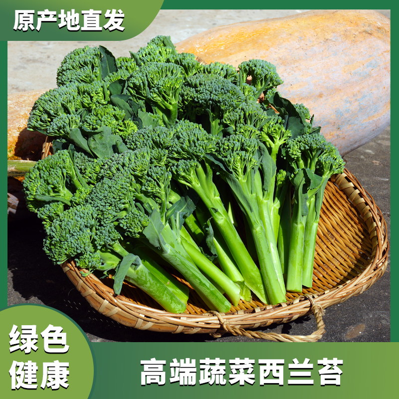 西兰苔新鲜露天时令高端蔬菜清甜鲜嫩湖北甜杆西兰苔原产地直发