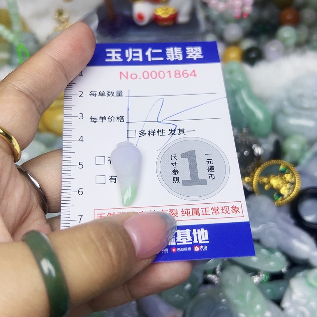 翡翠未镶嵌颈饰211