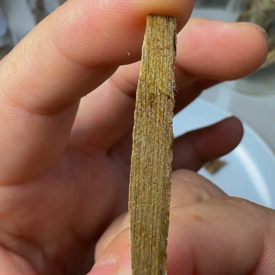 沉香沉香碎屑百年虎斑棋0.36克