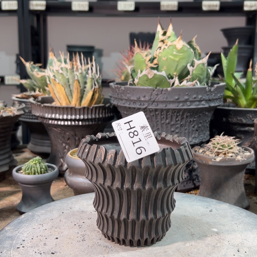 景德镇手工素里内口9.5高9.5