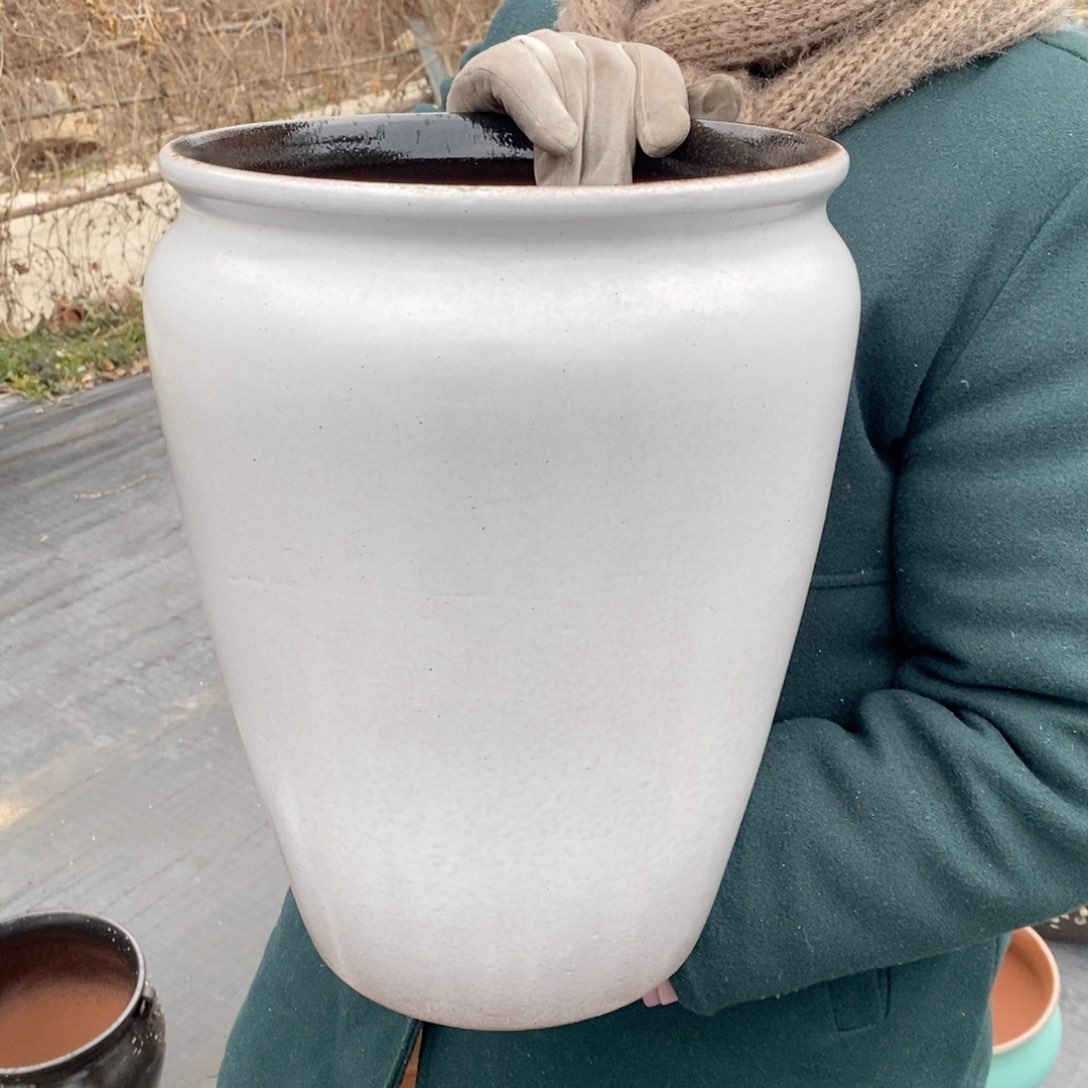 红陶口25高33～～～