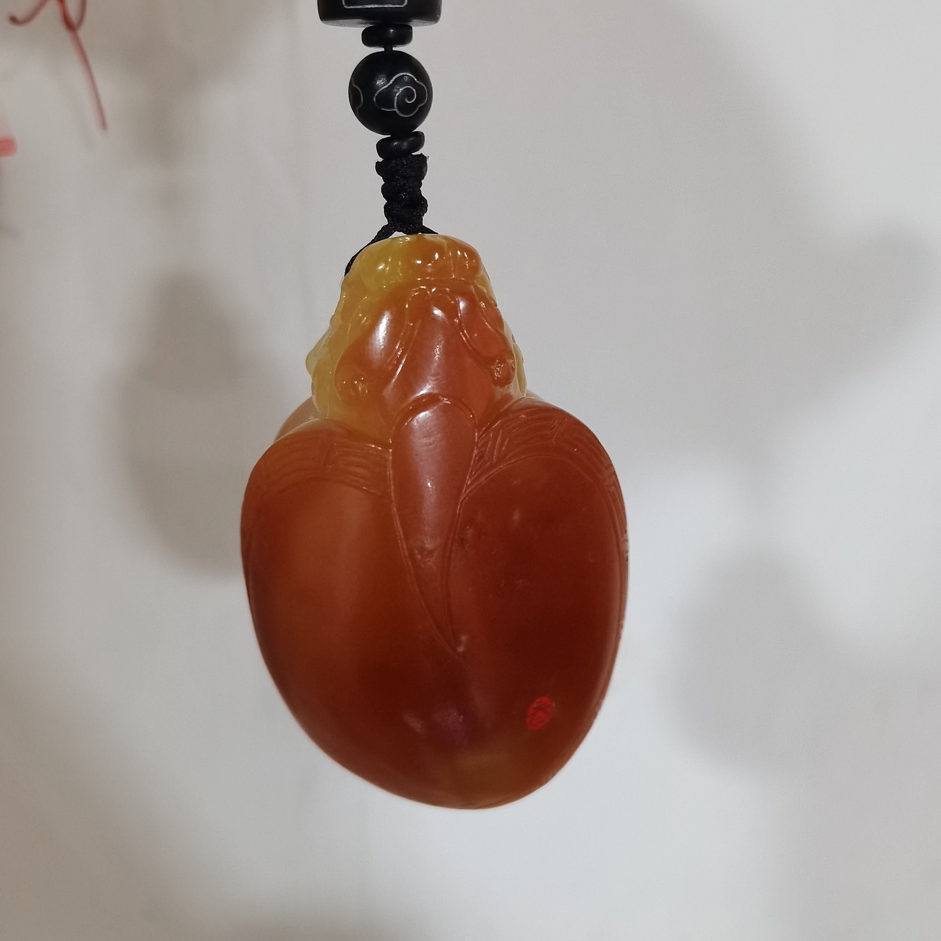 石包多样性拍一发一CC12月8日