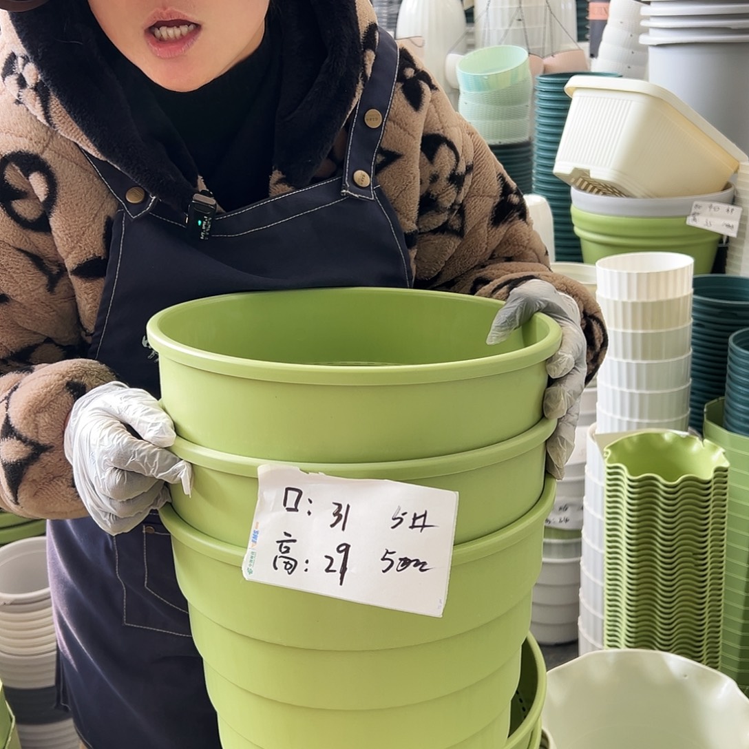 多孔5#果绿色3个无托
