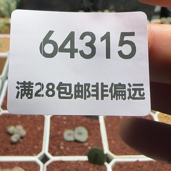 哈哈哈哈哈哈哈315