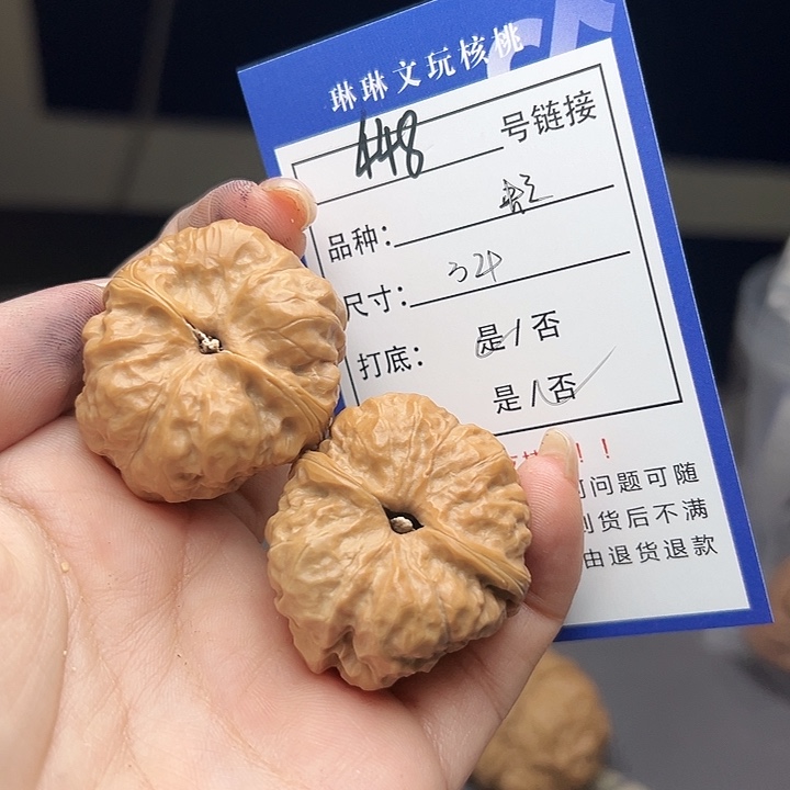 文玩核桃吊坠明*核桃树448