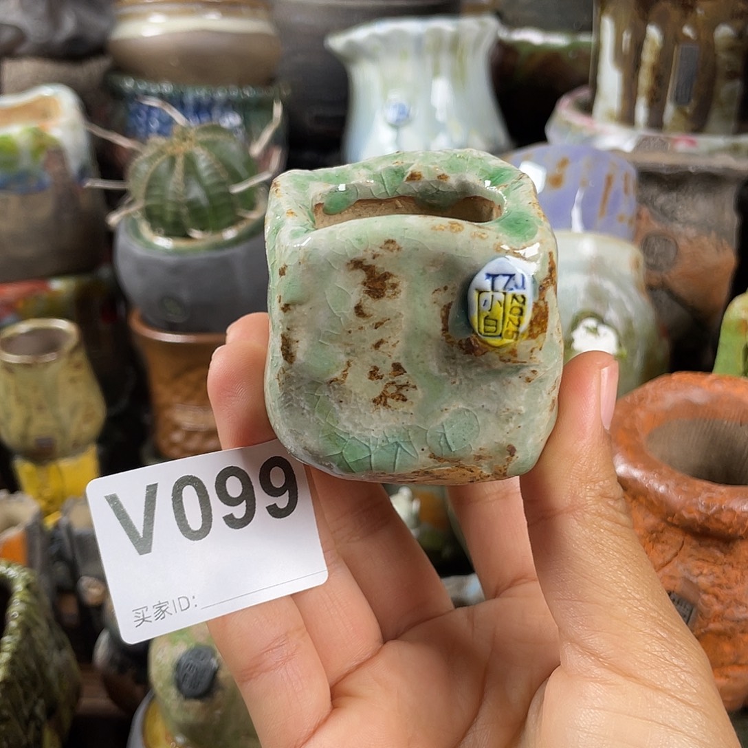 默认微次   限时福利 坛子姐花盆