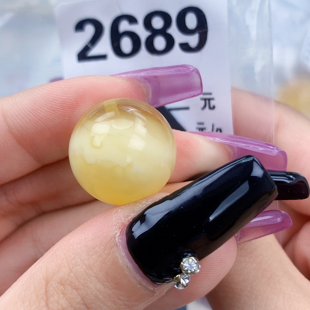 琥珀未镶嵌珠宝奇石18.4植物