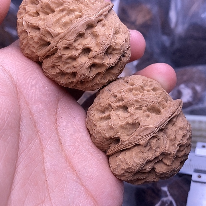 泰***石把件文玩核桃  198