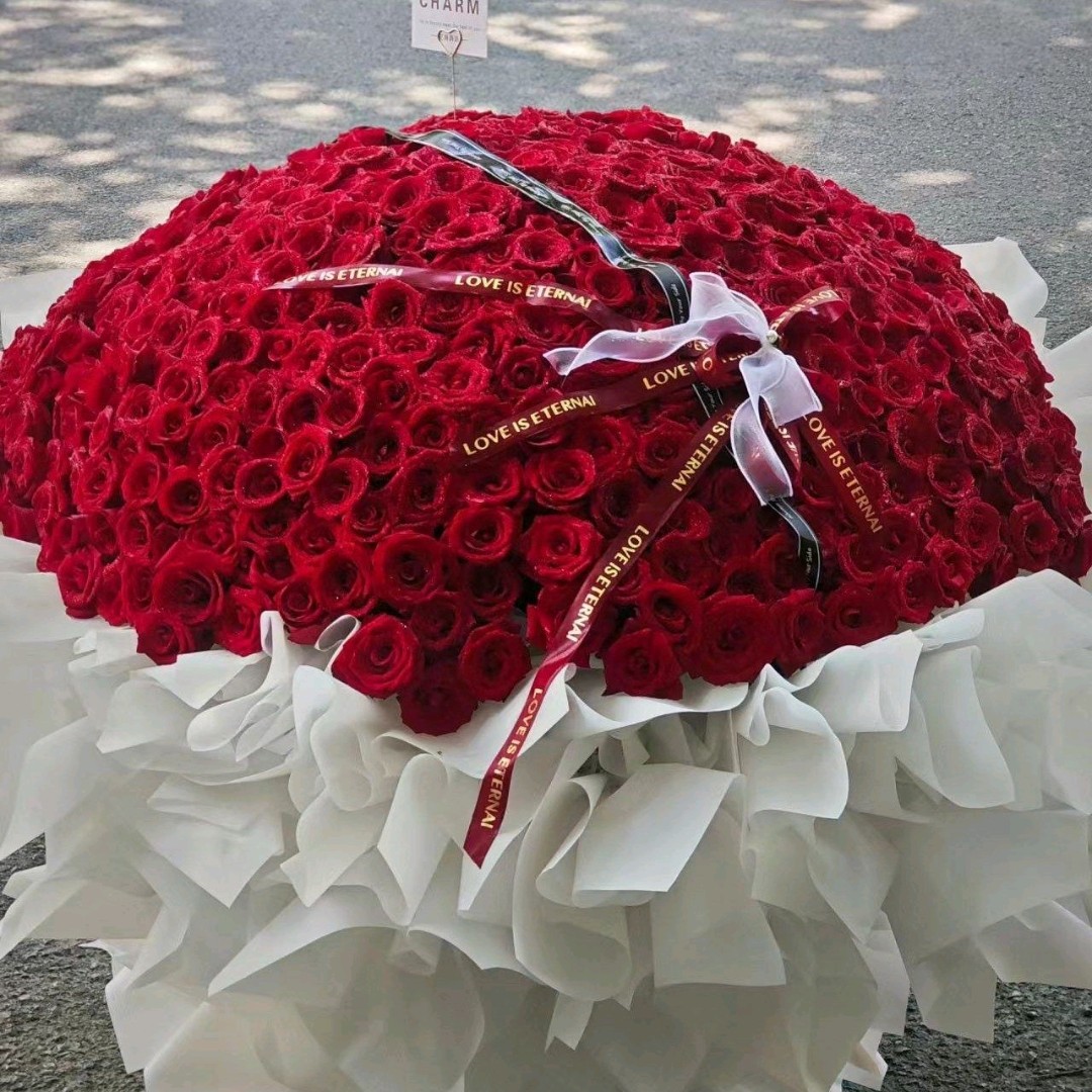 520朵玫瑰花束【红，粉，白，香槟，苏格兰绿，碎冰蓝】（选颜色可备注）