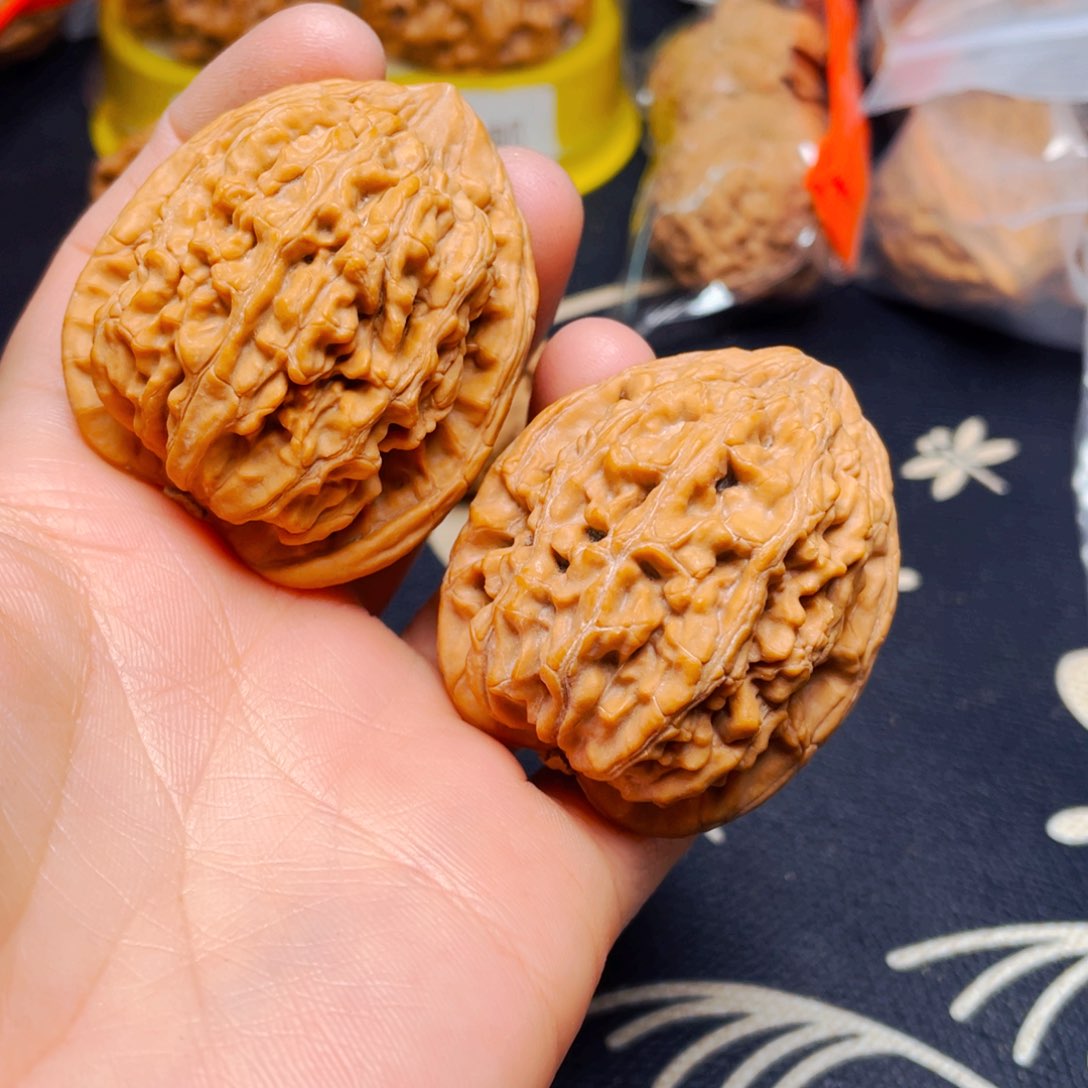 吊坠文玩核桃粗筋蚂蚁王