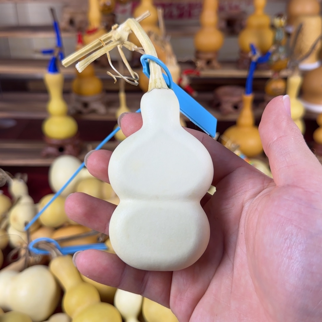 美***蓓葫芦ivvjvjcjvjvvjvjvjvj