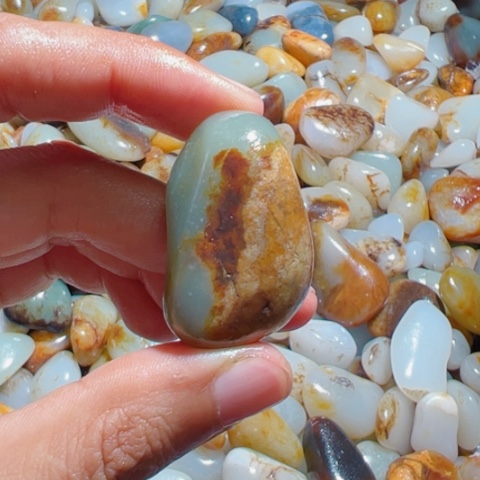 和田玉（糖玉）手链未镶嵌5