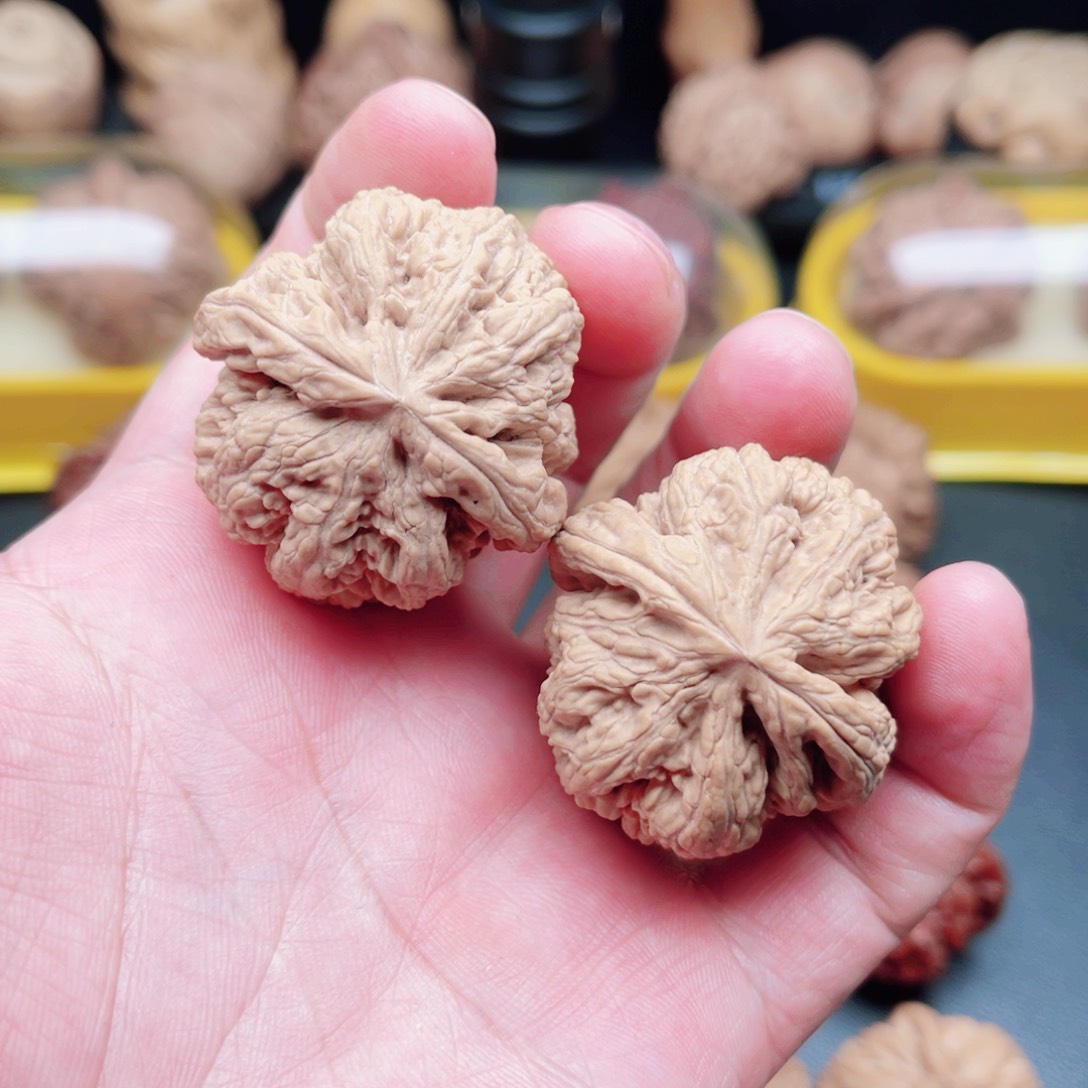 文玩核桃把件平谷大粗筋37×38×35