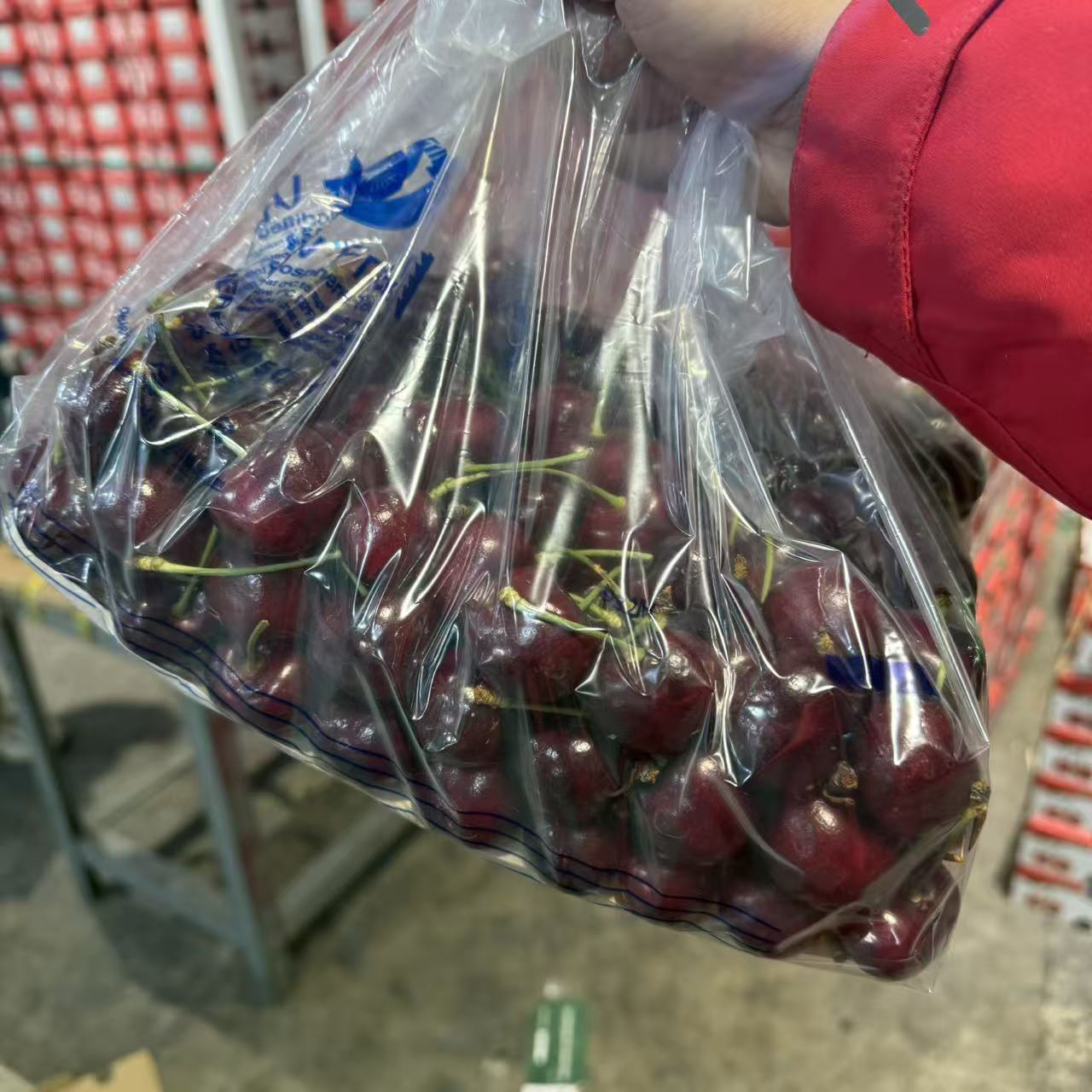 海运3JD车厘子5斤内付果径卡智利阿雅娜桑提娜智利内蒙古自治区