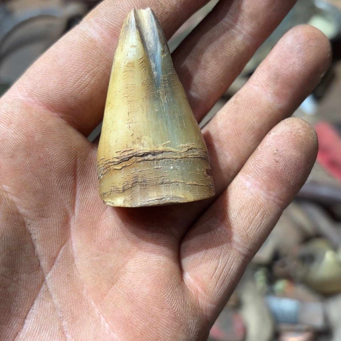 德*戴一物一图，谨慎下单