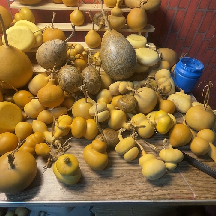 玉***琢羊羔毛斤斤计较斤斤计较斤斤计较