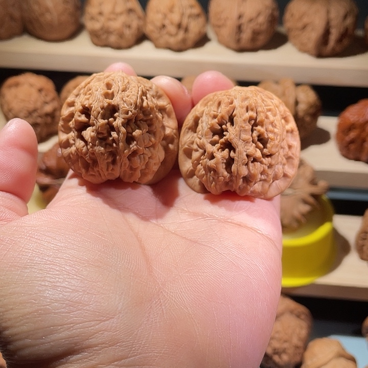 兴隆骰子血麒麟核桃38.5