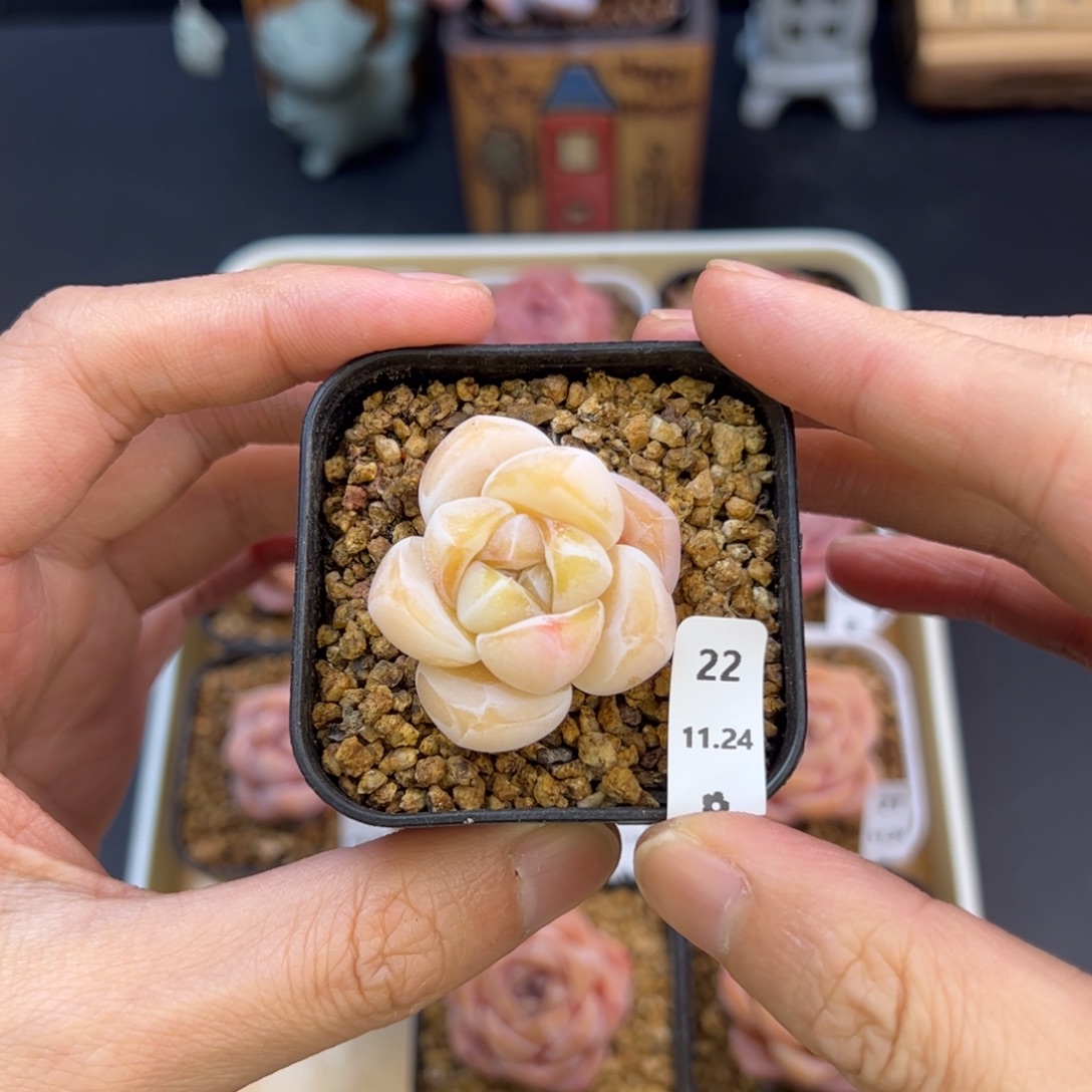 好好看22、哈哈哈哈