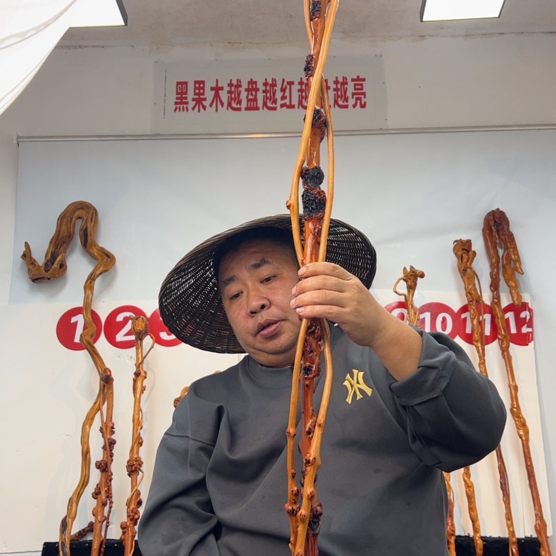 醉***盅黑果木其他黑果木831