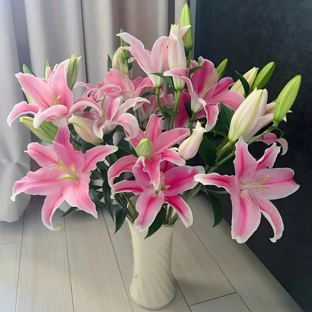 【索尔邦百合】小清新浓香型香水百合客厅阳台插花云南鲜花基地直发