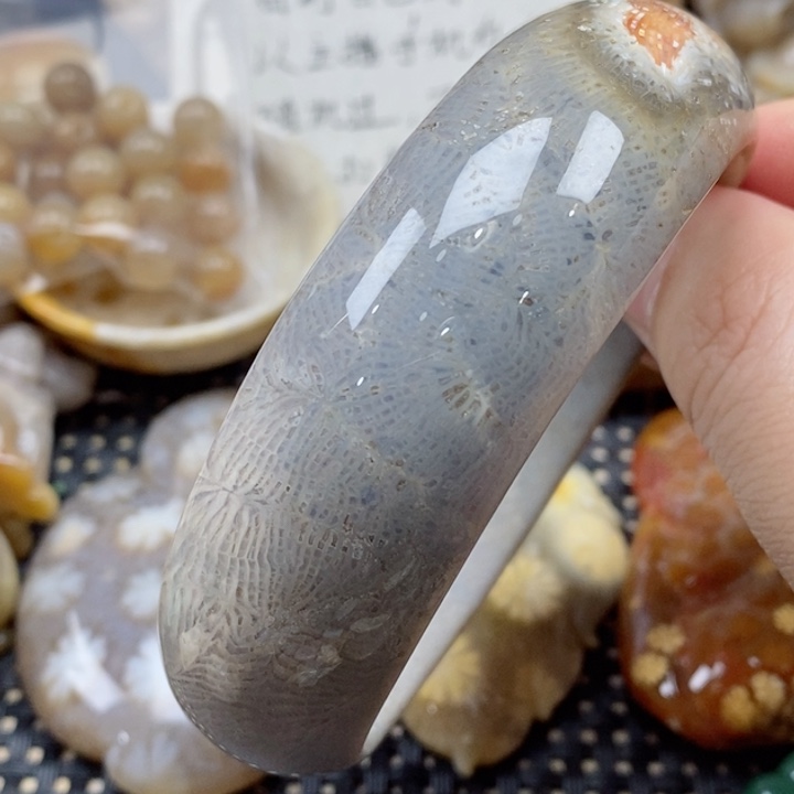 硅化珊瑚（珊瑚玉）颈饰未镶嵌63