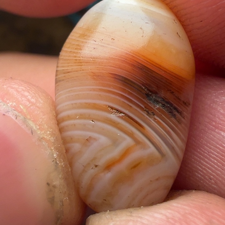 我们都会在这里等