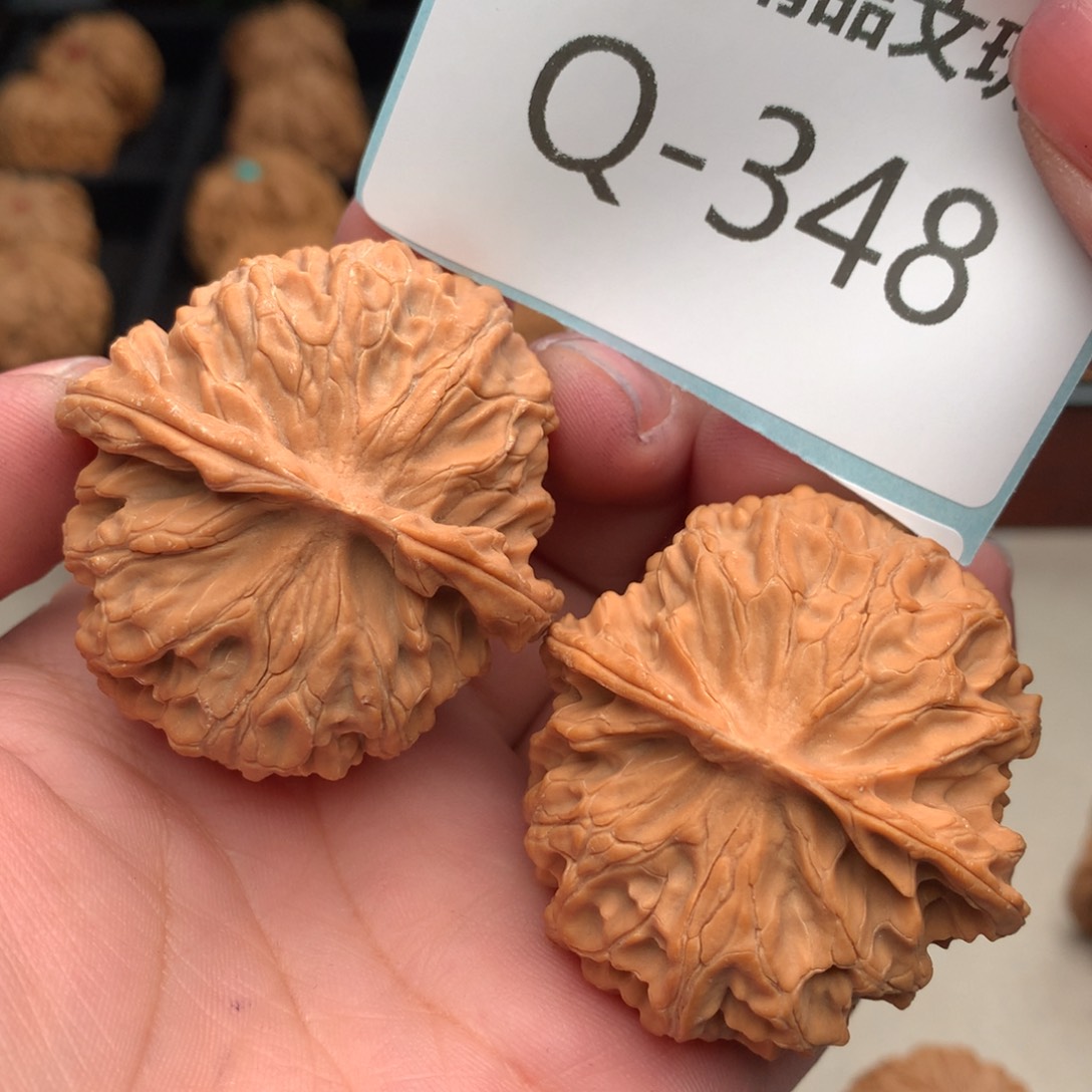 文玩核桃把件45苹果园……..