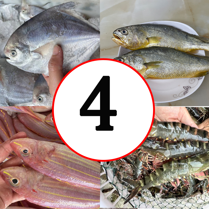 【4号链接】直播间称斤海鲜生蚝顺丰发货新鲜到家