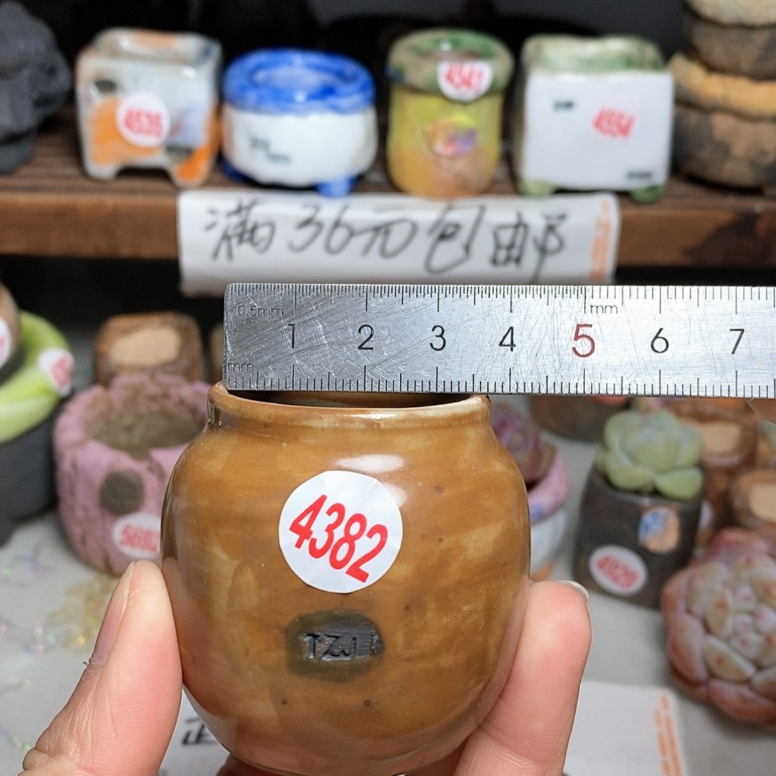 红陶拍5送一个小