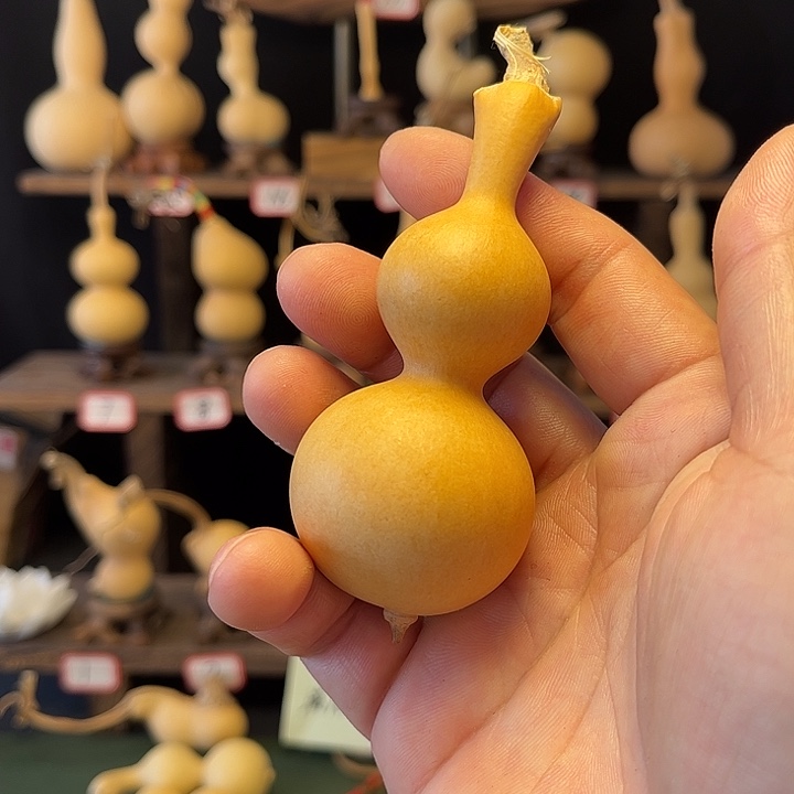 崩**君啦咯啦咯啦咯啦咯