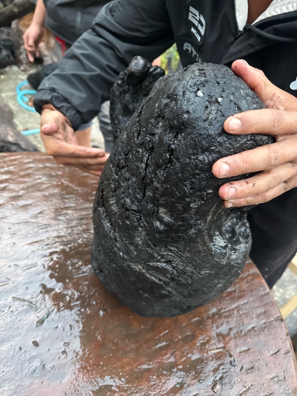 民间使用风化木阴沉木