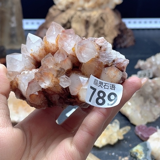 P***s大型摆件（非配饰）未镶嵌水晶