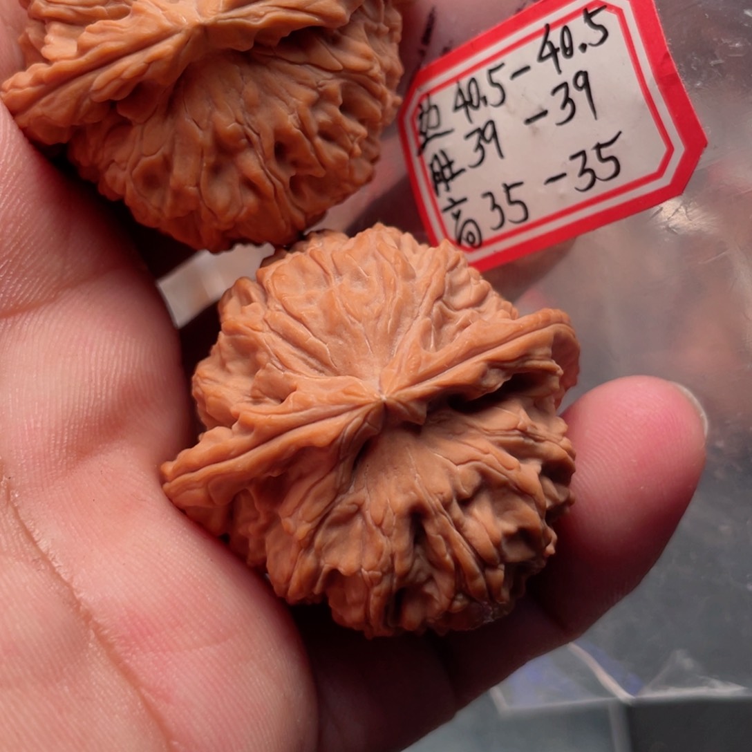 猴头核桃把件波**师白狮子头