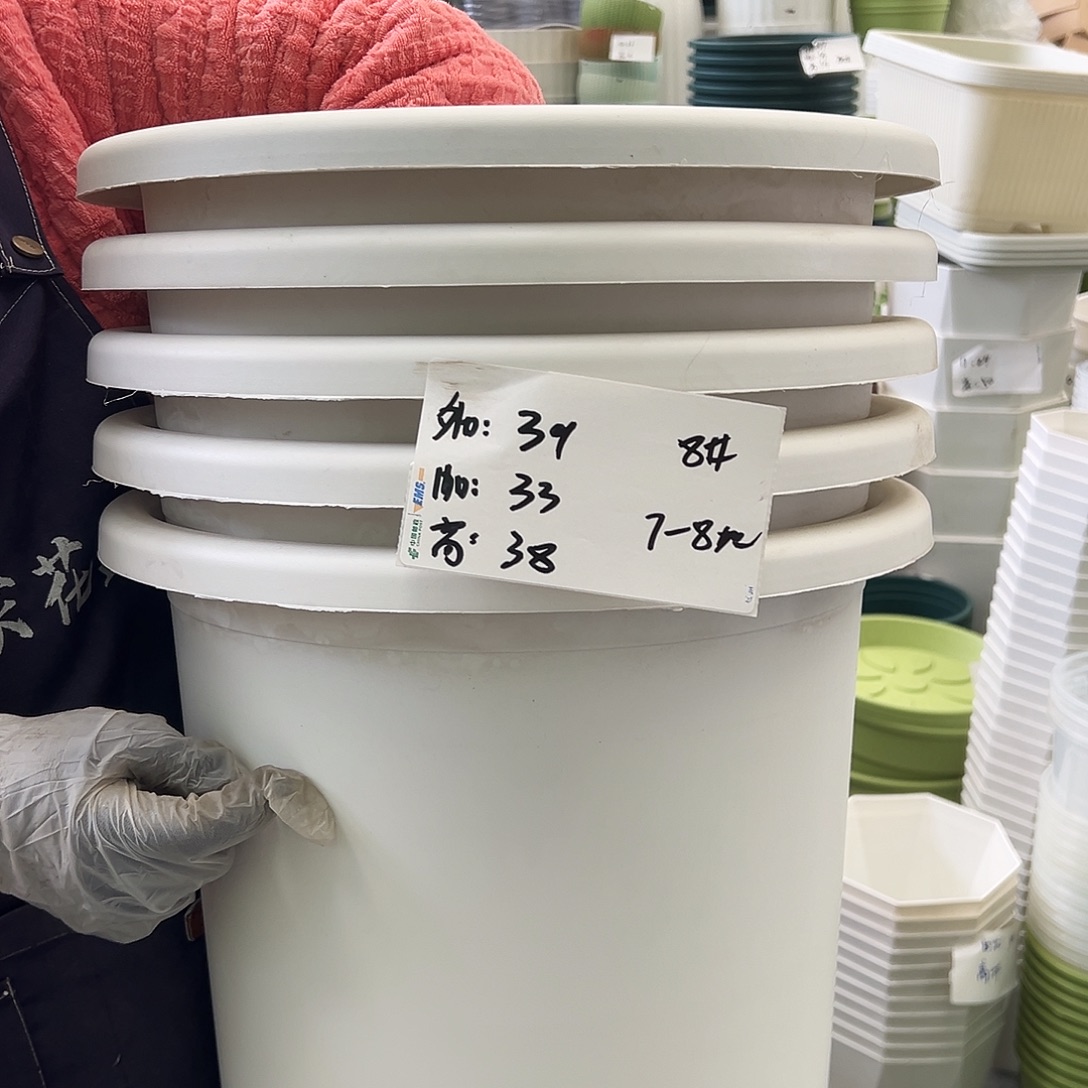 微瑕四季盆8#白色5个无托