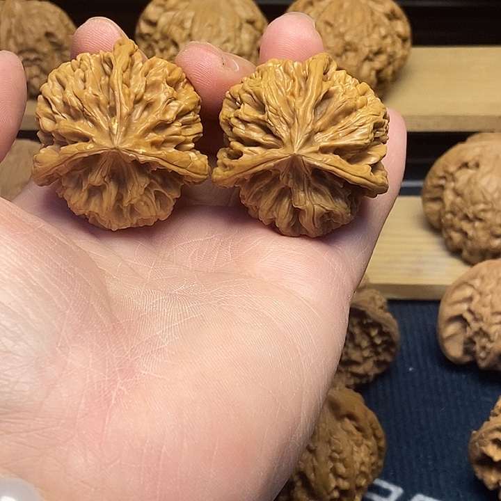 核桃帝王38球奔福利