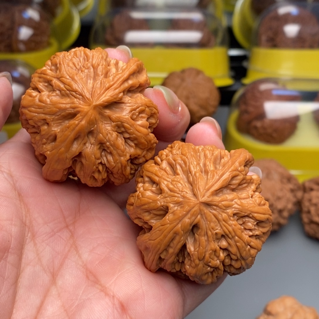 二***哥木质类文玩核桃粗筋