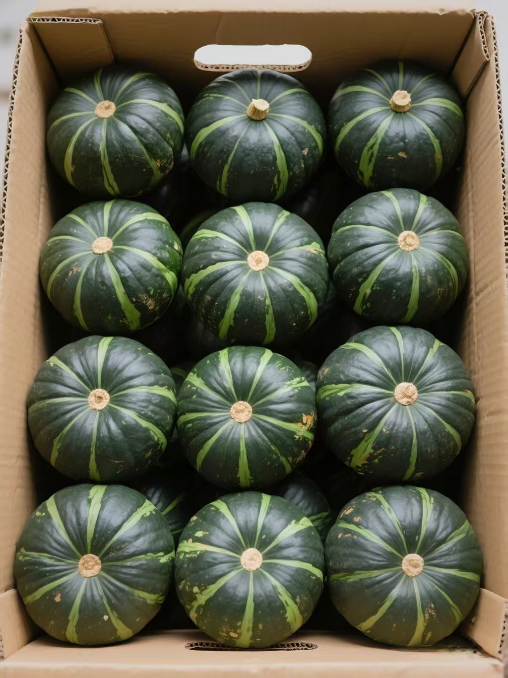 【301283-818】湖北枣阳沙土地贝贝南瓜又粉又糯减脂板栗口味